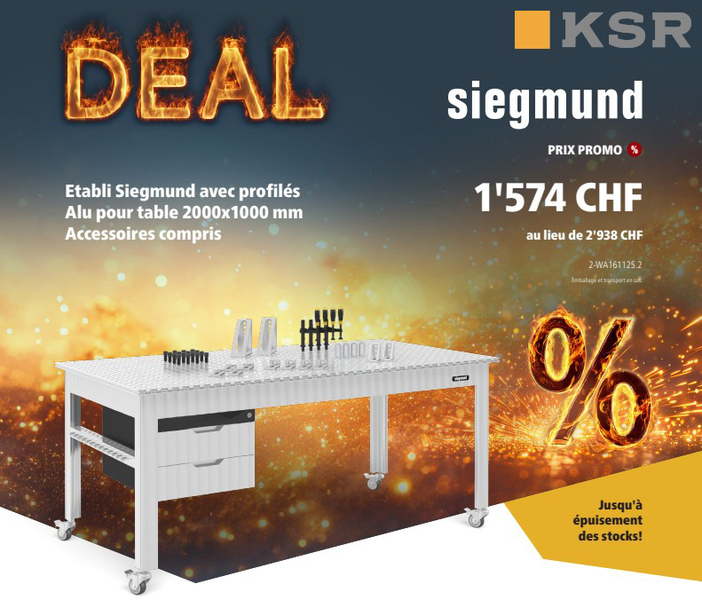 Flyer Siegmund 2