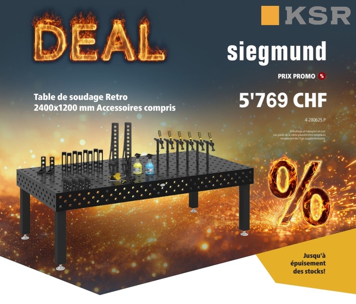 Flyer Siegmund 4