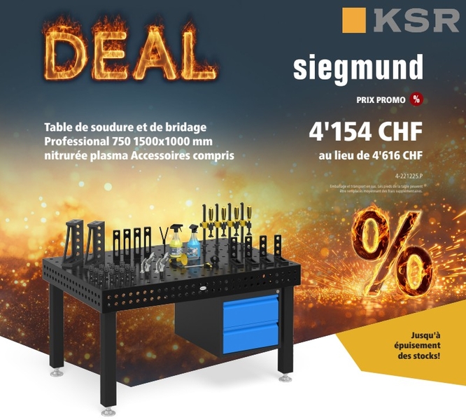 Flyer Siegmund 5